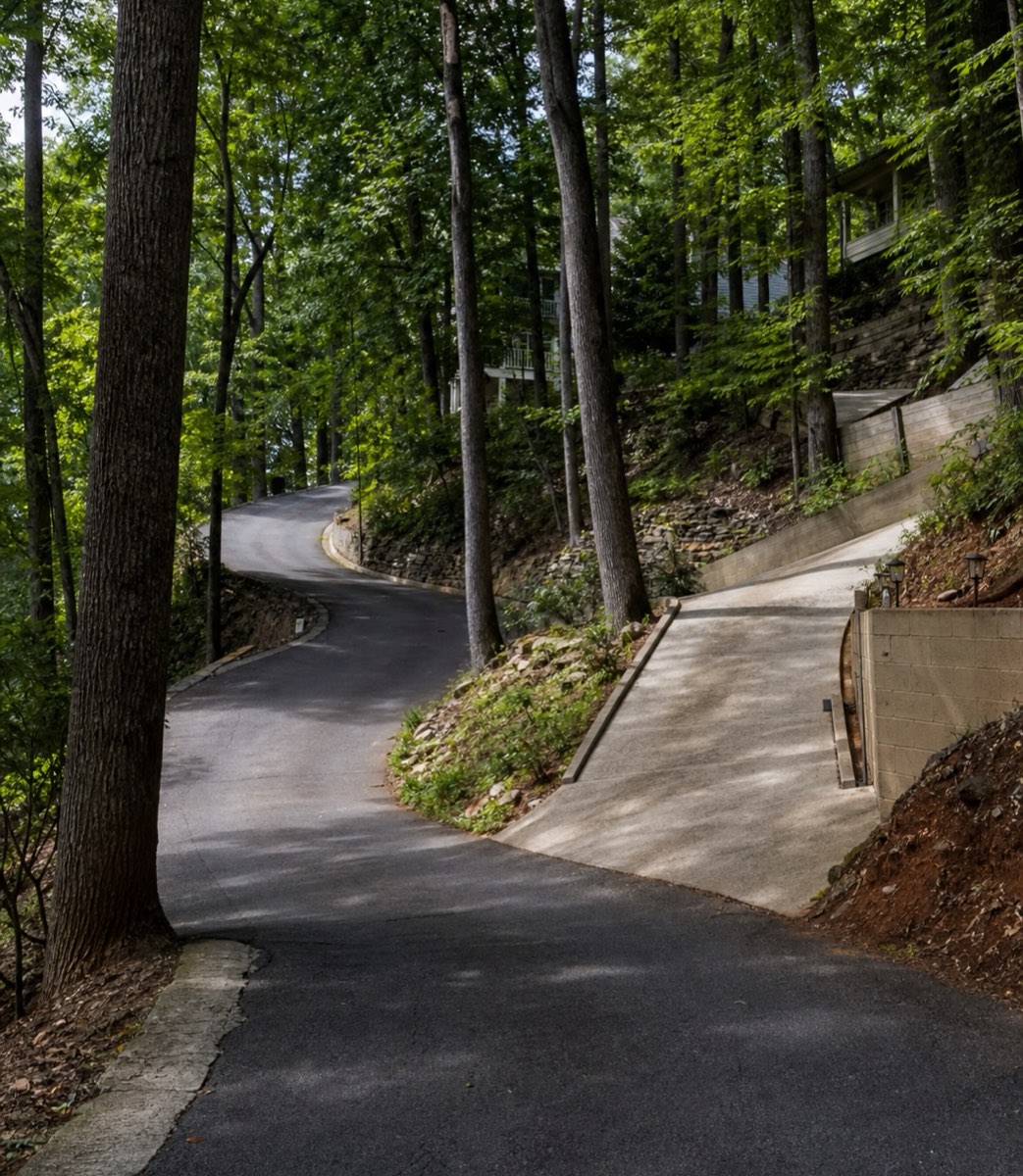 Steep residential street climbing a wooded mountainside above the city